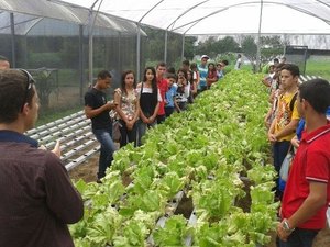 Alunos de Lagoa da Canoa conhecem técnica para cultivo de hortaliças