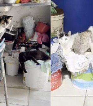 Família pede ajuda para retirar idosos de casa com lixo e animais em Arapiraca