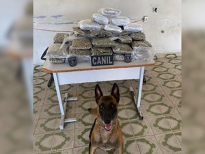 Mala com mais de 10 kg de maconha é encontrada em ônibus durante operação policial em Arapiraca