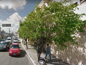 Árvore cai em rua do Centro e deixa trânsito lento na região