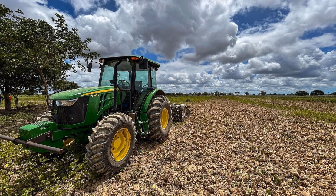 Após cerca de 20 anos, agricultores da Ponta Mofina em Penedo voltam a plantar arroz