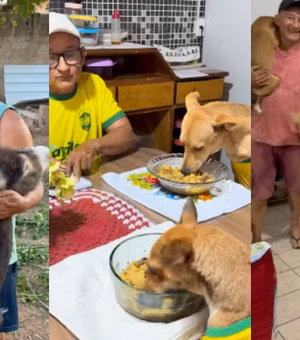 Cachorros sentam à mesa para comer em casa no Piauí