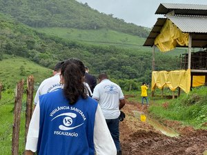 Ações da Prefeitura impulsionam vistoria sobre surto de moscas em União dos Palmares; Justiça determina perícia para investigar Granja Almeida e possível relação com infestação
