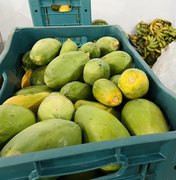 Em menos de 10 dias, 115 toneladas de alimentos foram doadas pelo PAA em Alagoas