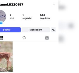 ‘Robôs comentaristas’ em postagens políticas na internet acendem alerta para engajamento artificial