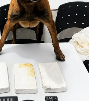 Homem é preso com mais de três quilos de cocaína na Baixa da Onça, em Arapiraca