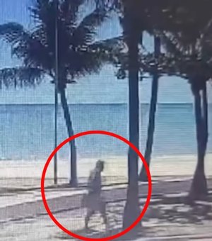 Videomonitoramento registra instante em que vândalo põe fogo na escultura ‘Boi-Bumbá’ no Jaraguá