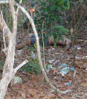 [Vídeo] Corpo de homem é encontrado sem a cabeça em matagal no Benedito Bentes
