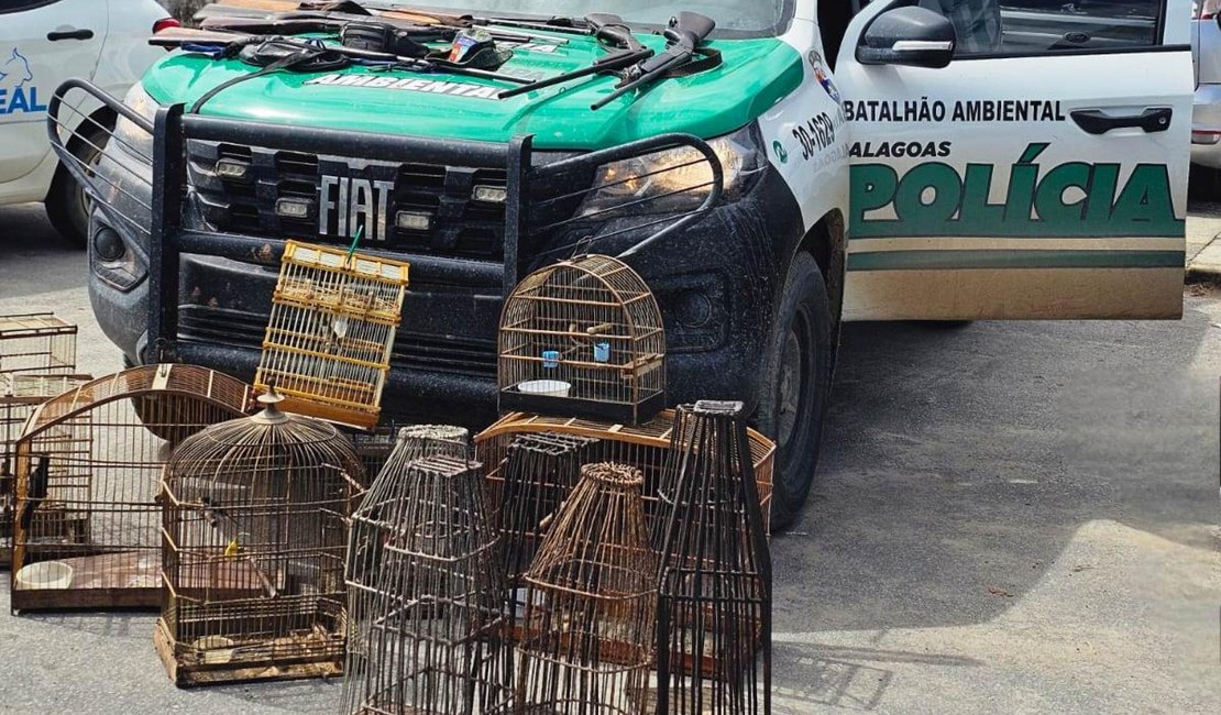 Polícia Militar apreende sete armas, armadilhas e aves silvestres em Matriz do Camaragibe