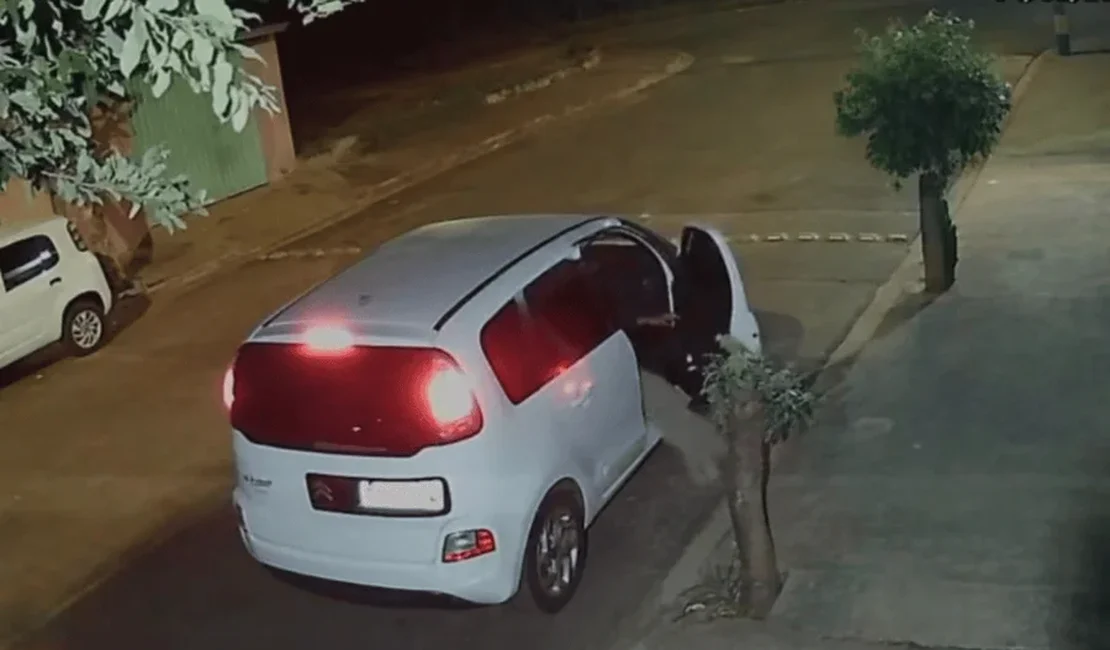 Cachorro é abandonado e corre atrás do carro do tutor
