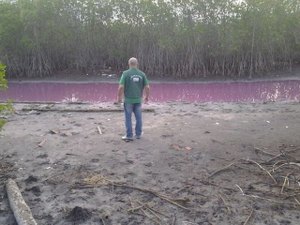 IMA investiga rio ?cor de rosa? na Barra Nova