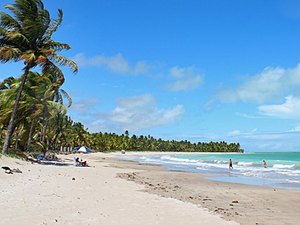 Crianças e dupla de jovens são vítimas de afogamento em Maceió