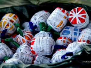 Bombas explodem dentro de banheiro de escola e polícia é acionada no baixo São Francisco