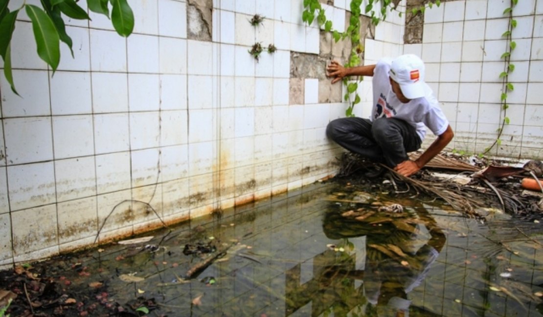 Mutirões contra o Aedes aegypti serão realizados aos sábados
