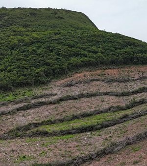 Homem é preso por devastar área de Caatinga equivalente a 800 campos de futebol em AL