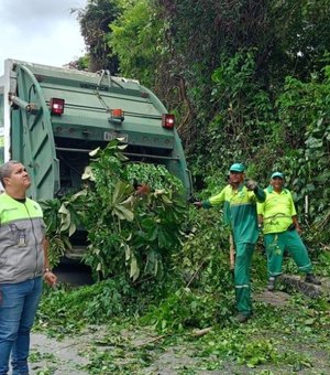 Alurb realiza intervenções em árvores no bairro da Gruta de Lourdes
