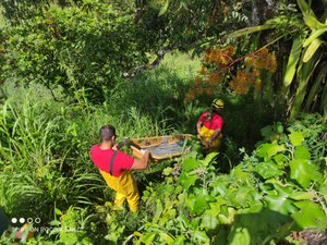 Bombeiros resgatam corpo em rio no município de Porto Calvo