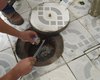 Picada de escorpião: saiba como evitar acidentes e como agir em caso de picada