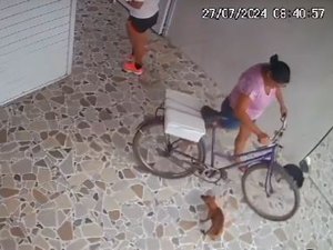 [Vídeo] Câmeras de segurança mostram Adeilze Félix trabalhando horas antes de ser morta