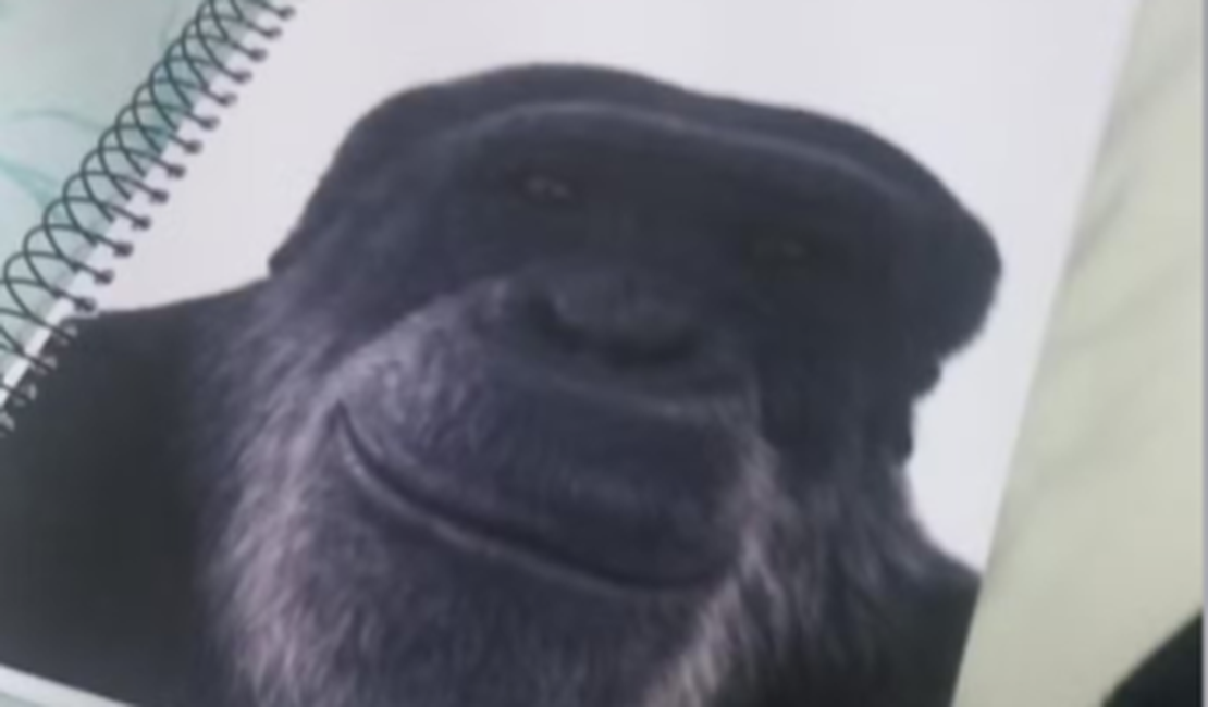 Professor é demitido após associar imagem de chimpanzé a aluno negro em escola de Maceió