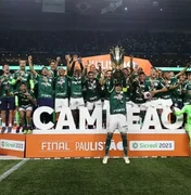 Título paulista eleva ainda mais o patamar de alguns jogadores do atual elenco do Palmeiras
