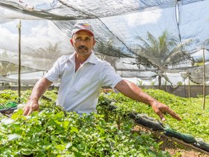 Produtores do Agreste alagoano comercializam hortaliças na tradicional Feira do Peixe Vivo