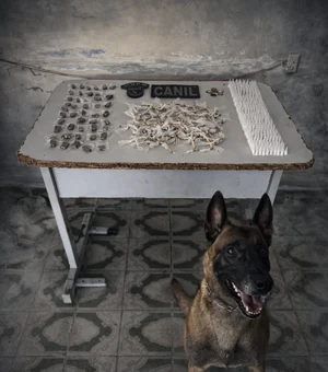 Mais de 500 porções de drogas são encontradas escondidas em terreno baldio em Arapiraca