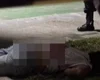 Adolescente é vítima de homicídio em quadra de escola na cidade de Cajueiro