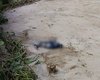 Polícia Científica atua para identificar ossada encontrada em praia de São Miguel dos Milagres