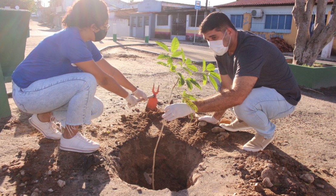 Maceió+Verde inicia plantio de mudas de árvores em Ipioca