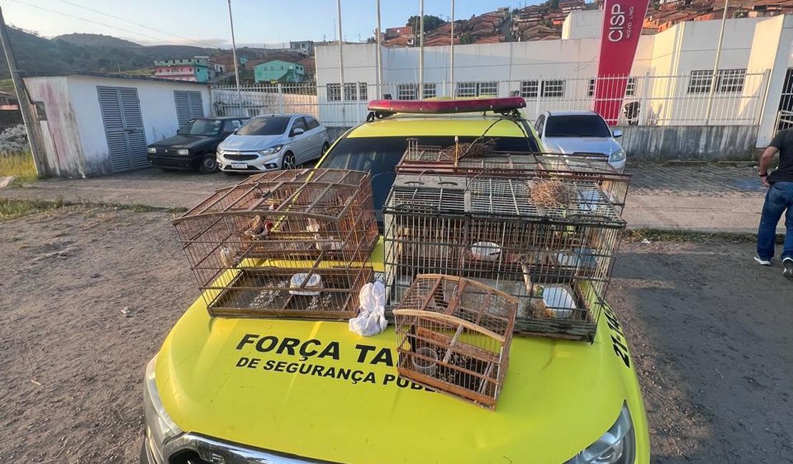 Homem paga pensão usando pássaros e aves são apreendidas em Jundiá