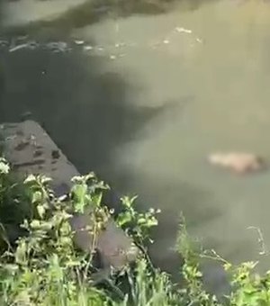 Corpo de homem é encontrado boiando em córrego no Vale do Reginaldo