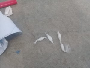 Homem é preso com papelotes de cocaína em Arapiraca 