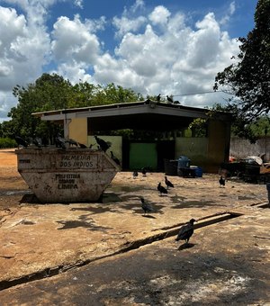 Justiça determina prazo para regularização do matadouro público de Palmeira dos Índios