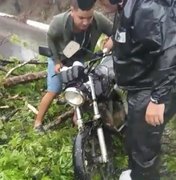 [Vídeo] Árvore cai por cima de motociclista em São José da Laje
