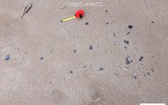 Manchas de óleo reaparecem nas praias de Japaratinga