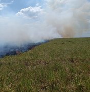 [Vídeo] Incêndio em vegetação mobiliza bombeiros e populares em Limoeiro de Anadia