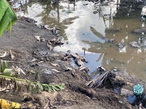 IMA e Batalhão Ambiental flagram abate clandestino de carne em São Luís do Quitunde