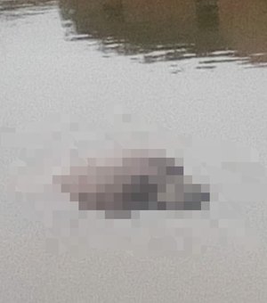Corpo de homem é encontrado boiando em barragem na Zona Rural de Santana do Ipanema