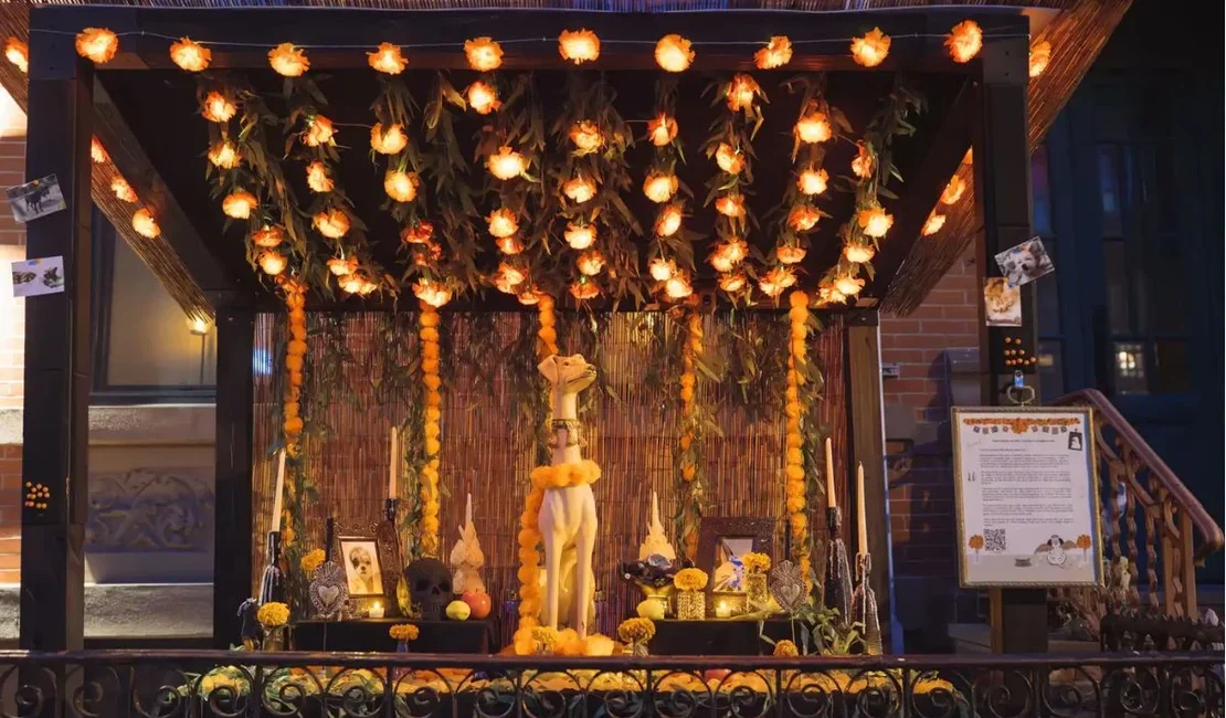 Tutora faz homenagem diferente para cão falecido e comove a web