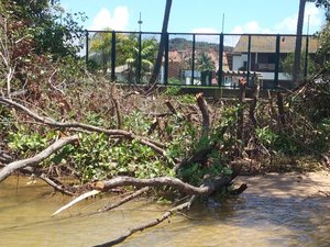 Moradores denunciam desmatamento em área de mangue