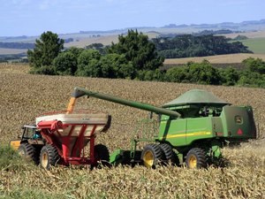 Governo projeta salto de 30% na produção de grãos do Brasil em 10 anos