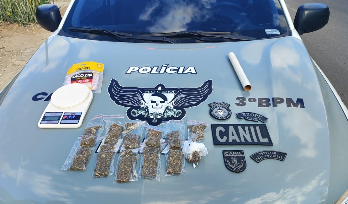 Cão farejador ajuda na prisão de traficante durante cumprimento de mandado em Arapiraca