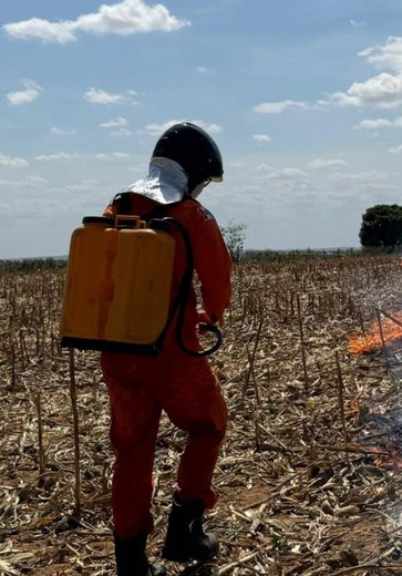 Corpo de Bombeiros registra aumento de 80% nos incêndios em vegetação em Alagoas