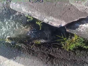 [Vídeo] Moradores denunciam vazamento de água há três dias na Avenida Rotary, em Maceió