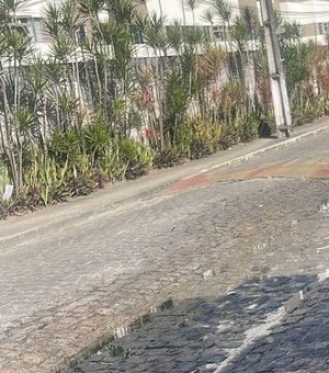 Prefeitura autua empresa por lançamento de efluente em rede de esgoto
