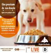 Campanha em favor de animais de rua é lançada em Arapiraca