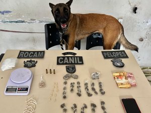 Com auxílio de cão farejador, PM prende homem em ponto de drogas em Arapiraca