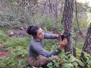 IMA apoia pesquisa sobre monitoramento da fauna silvestre em Serra do Craunã