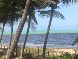 Moradores denunciam mancha negra na praia de Riacho Doce 